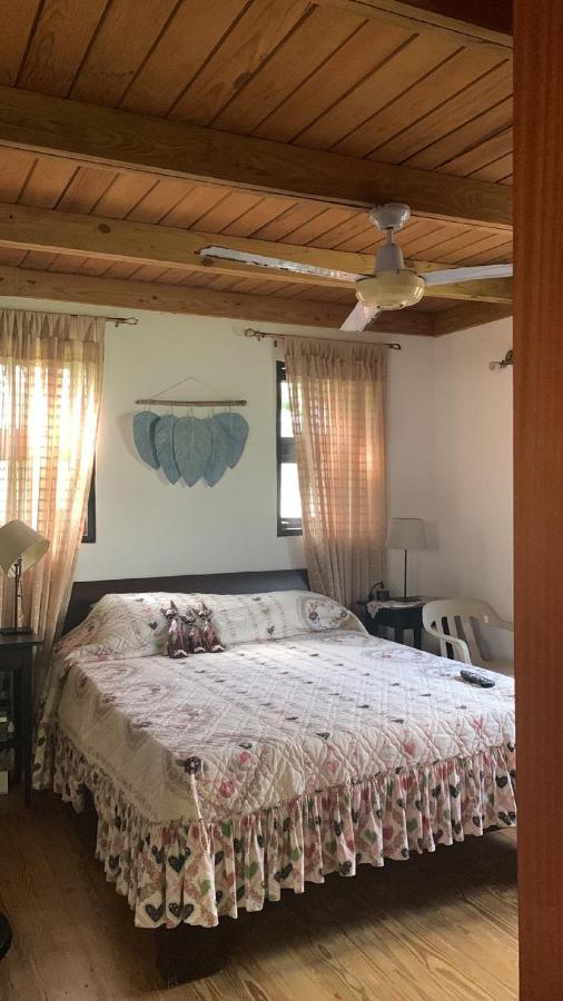 Manaya Bed & Breakfast ปุนตากานา ภายนอก รูปภาพ